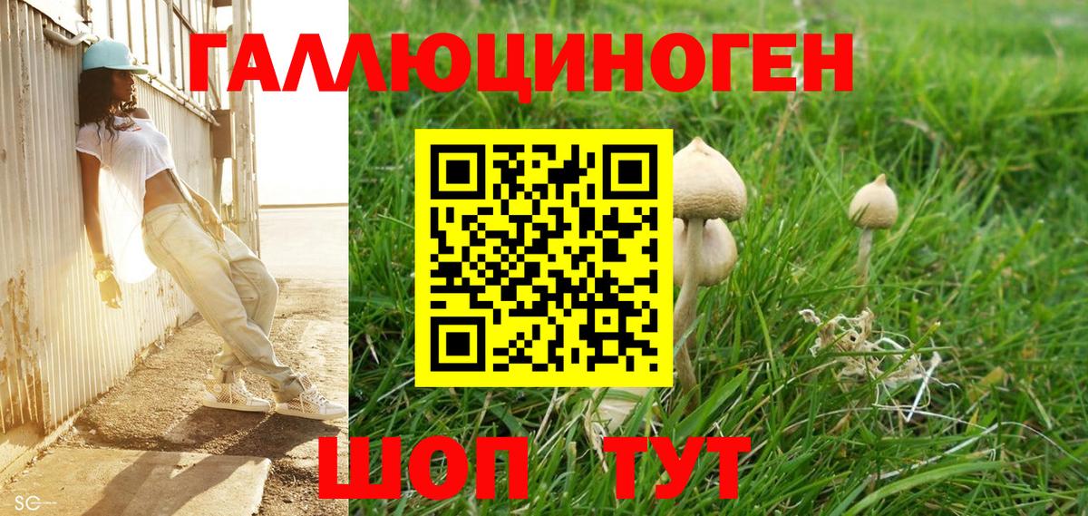 Галлюциногенные грибы Psilocybine cubensis  Вход с VPN  Сланцы 